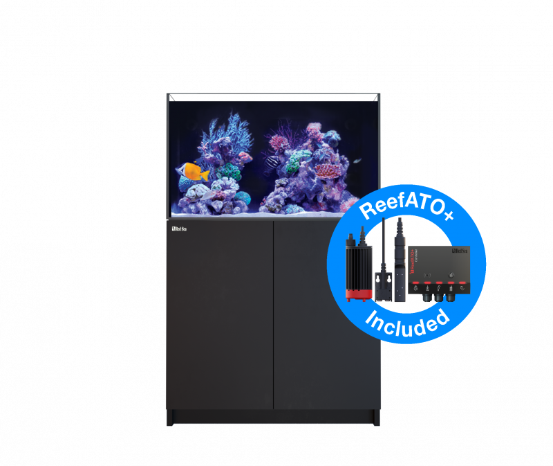 Meerwasseraquarium Komplettset Kaufen Aufbau Vom Profi Hp Aquaristik